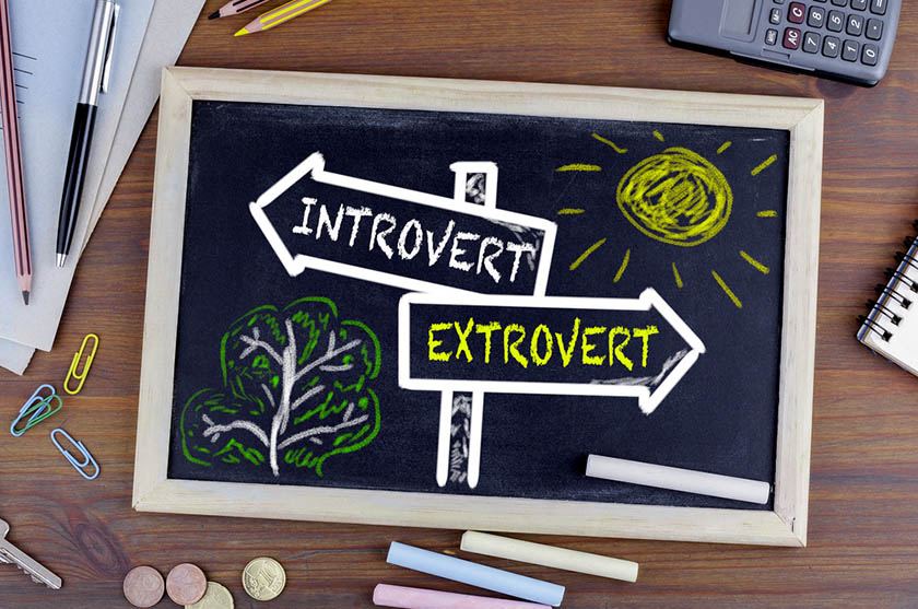 Extroverts and introverts
